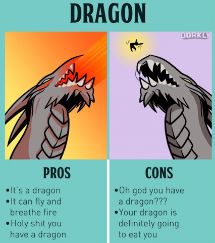 Pet dragon - meme