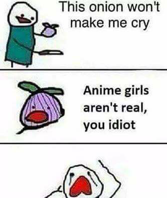 Fap to all the anime - meme