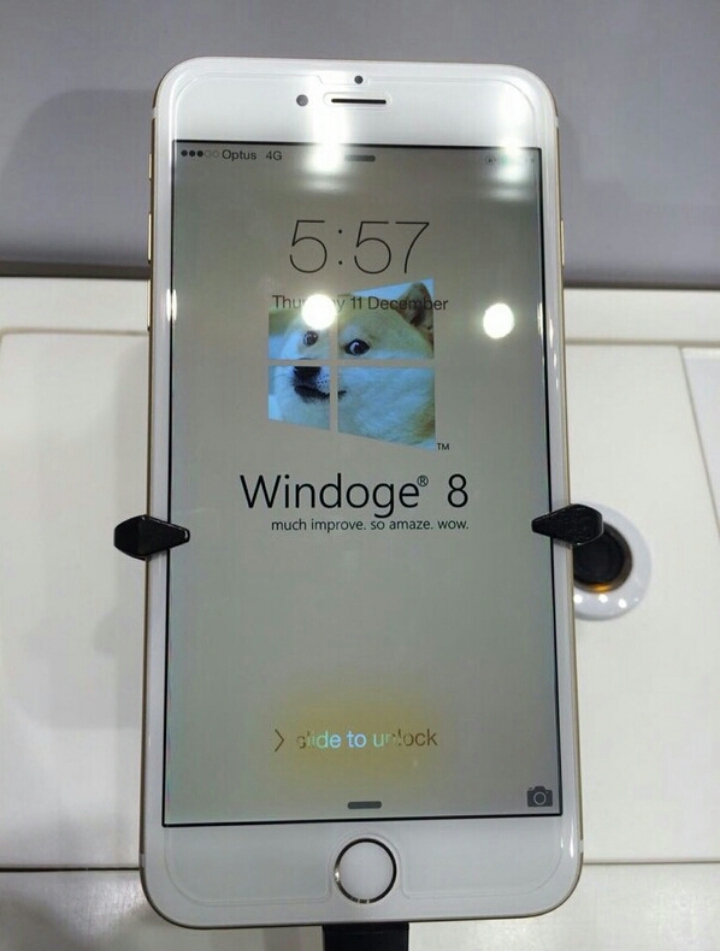 Buy it at your local WinDoge - meme