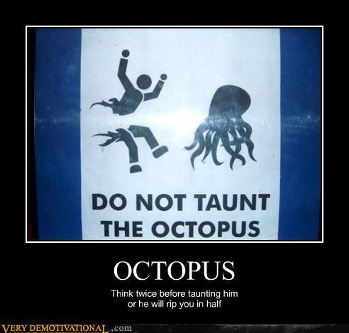 Octopus powers activate - meme