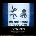 Octopus powers activate