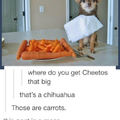 Those are some adorable cheetos