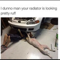 Dog is mechanic