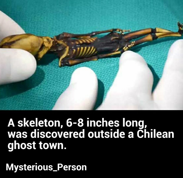 mysterious skeleton - meme