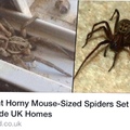 Watch your bed folks! Don't wait until the Horny spider's ready, it's when your ready.