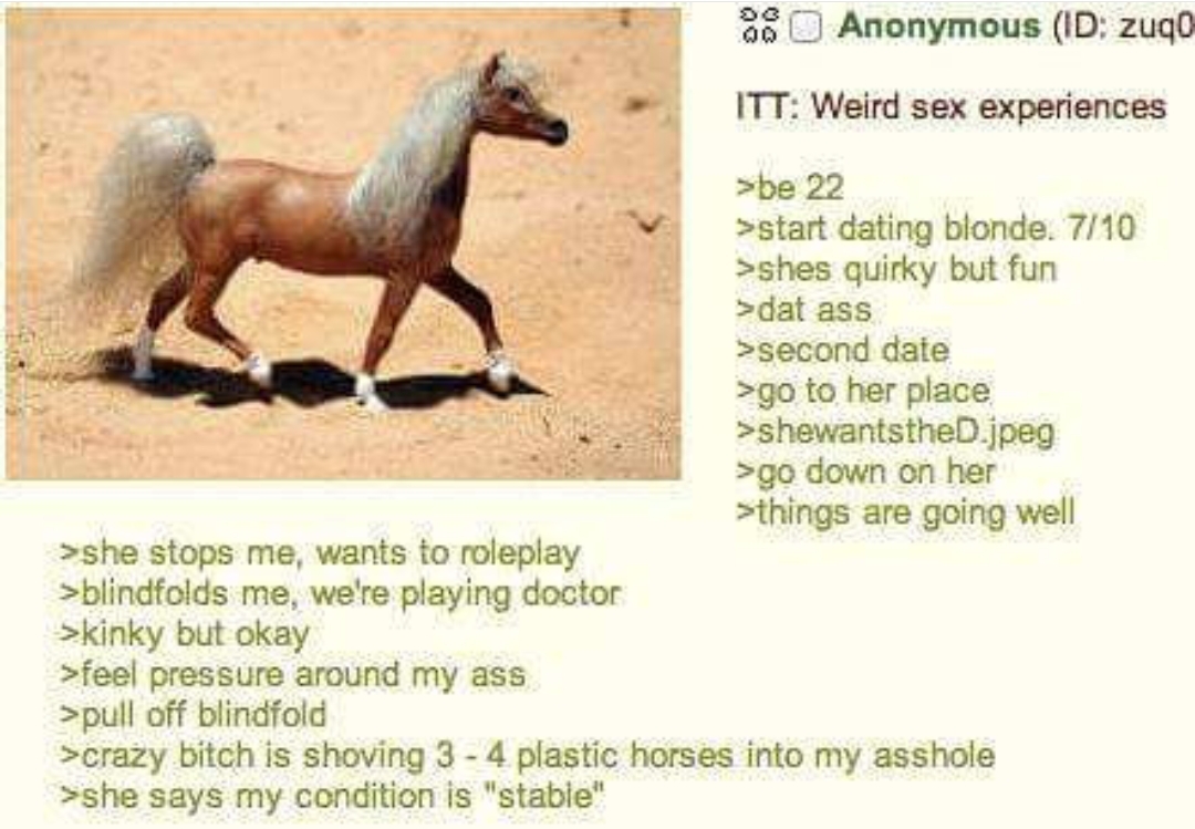 TL;DR anon gets plastic horses in ass - meme