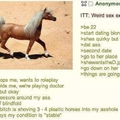 TL;DR anon gets plastic horses in ass