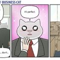 business cat is in paradise