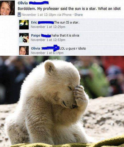 Embarrassed Polar Bear Is Embarrassed Meme By Mike9200 Memedroid