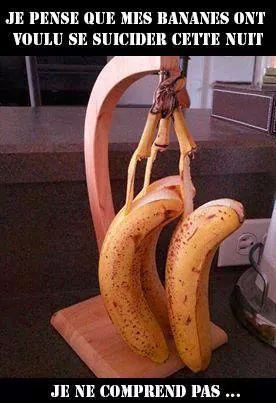 mes bananes se sont pendues - meme