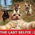 the last selfie