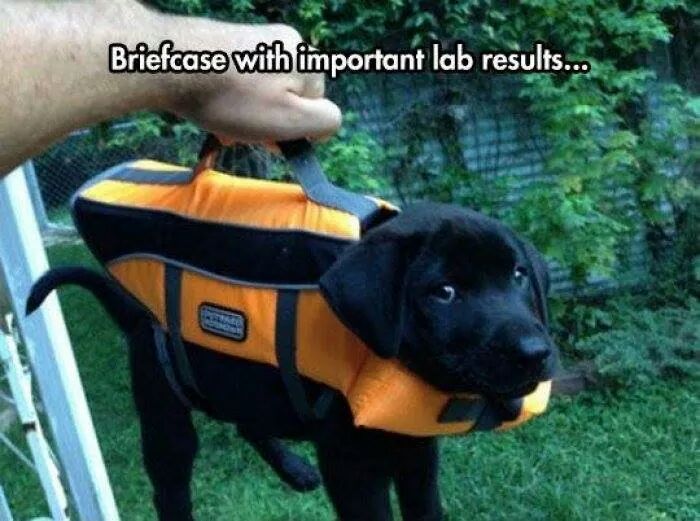 I wish my work briefcase was the same :( - meme