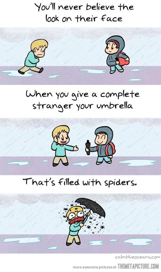 Raining spiders - meme