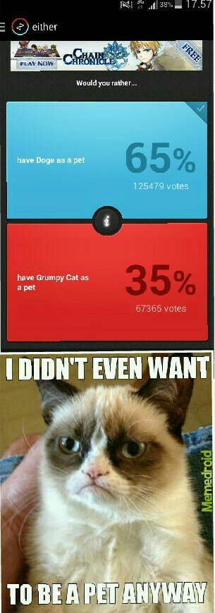 Grumpy cat, no one loves him. Except 67365 people. - meme