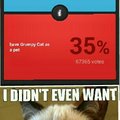 Grumpy cat, no one loves him. Except 67365 people.