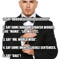 How to make a pitbull song