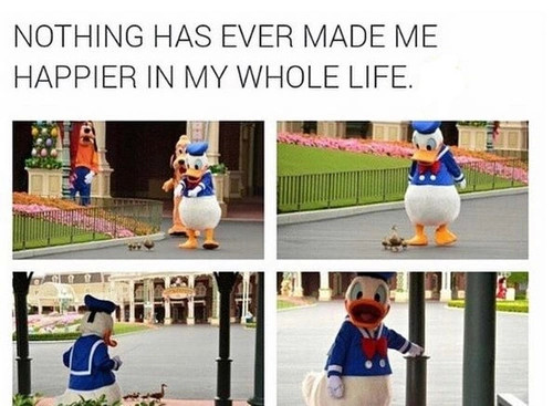 What the duck - meme