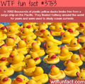 WTF Fun Fact
