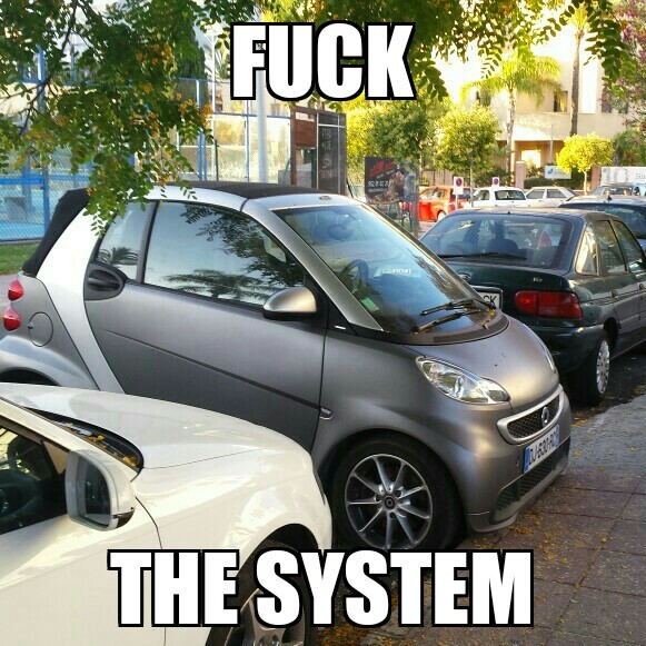 Fuck The System - meme