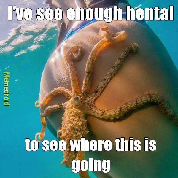 octopussy - meme