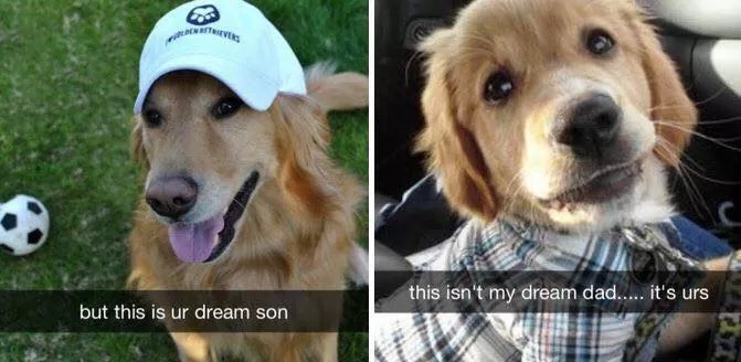 Dog dad - meme