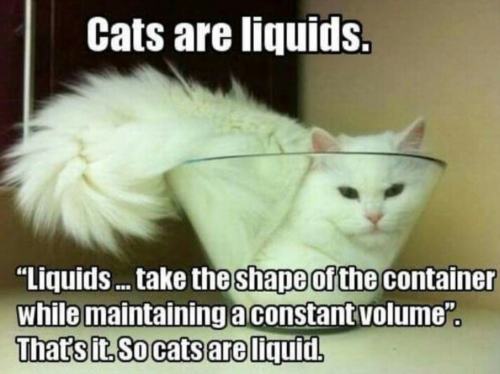 Cat logic! - meme