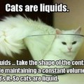 Cat logic!