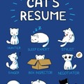Cat's résumé