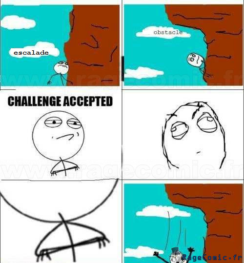 Challenge accep...ahhhhh - meme