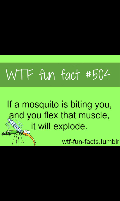Die mosquito ...... DIE - meme