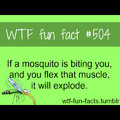 Die mosquito ...... DIE