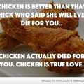 Chicken is life, Chicken is love