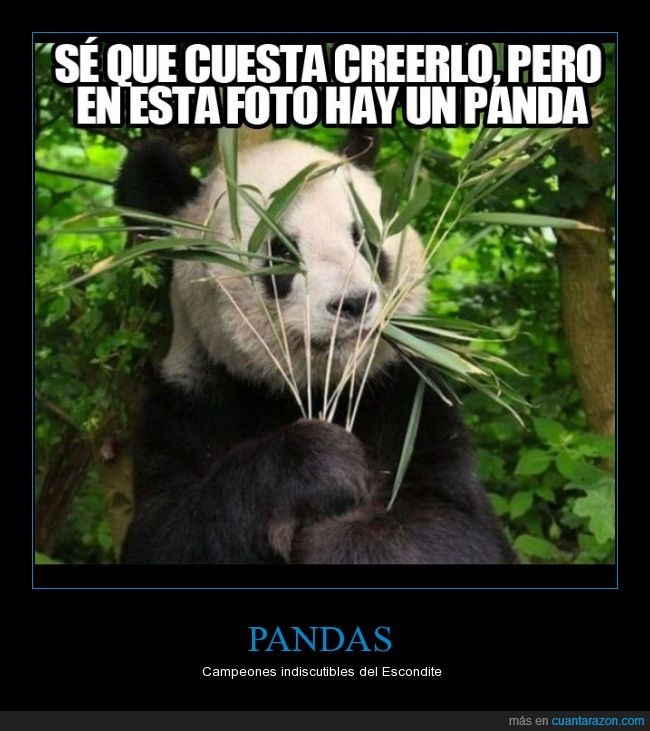 Ese panda - meme