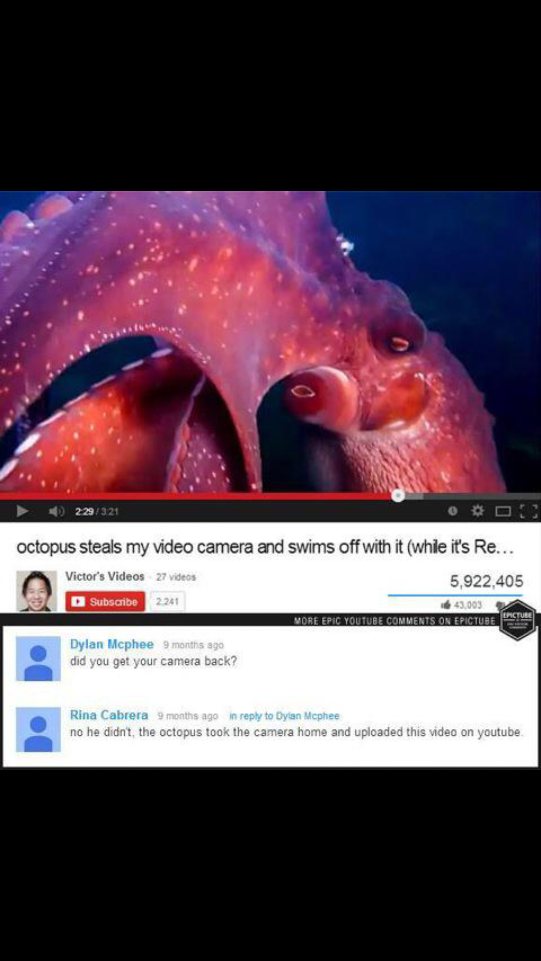 That guy is the octopus - meme