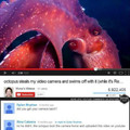 That guy is the octopus