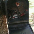 How to never get mail again