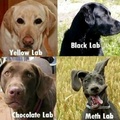 Oh meth... you sly dog...
