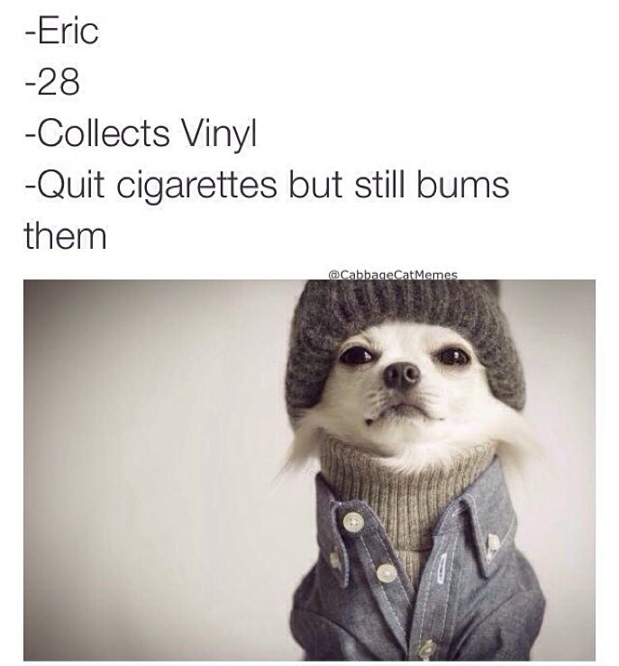 Hipster dog - meme