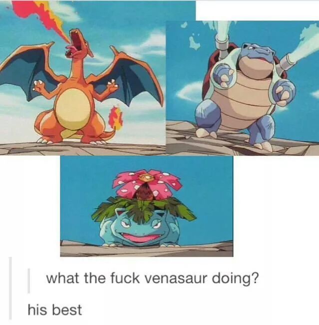 Fire starters are my favorites - meme