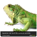 save the iguanas