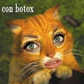 el gato con botox
