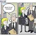 how do business cat travel
