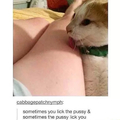 And sometimes the pussy will lick the pussy.