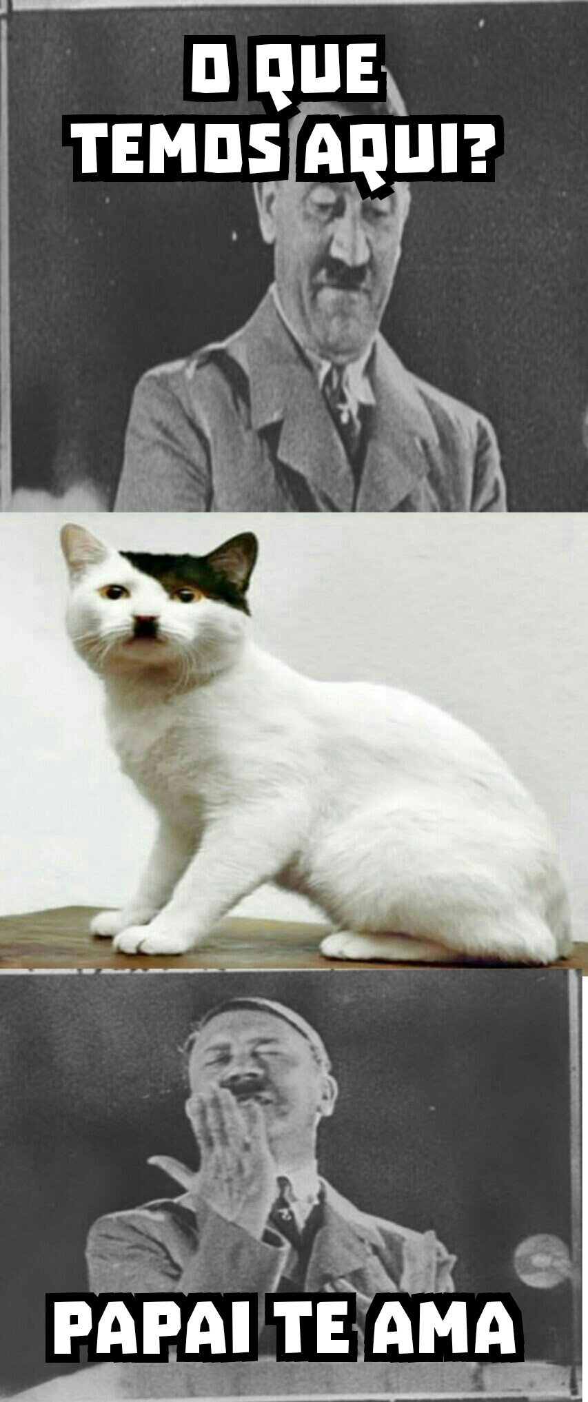 Hitler Jr. - meme