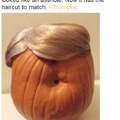 Donald trumpkin