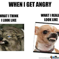 Dont get angry