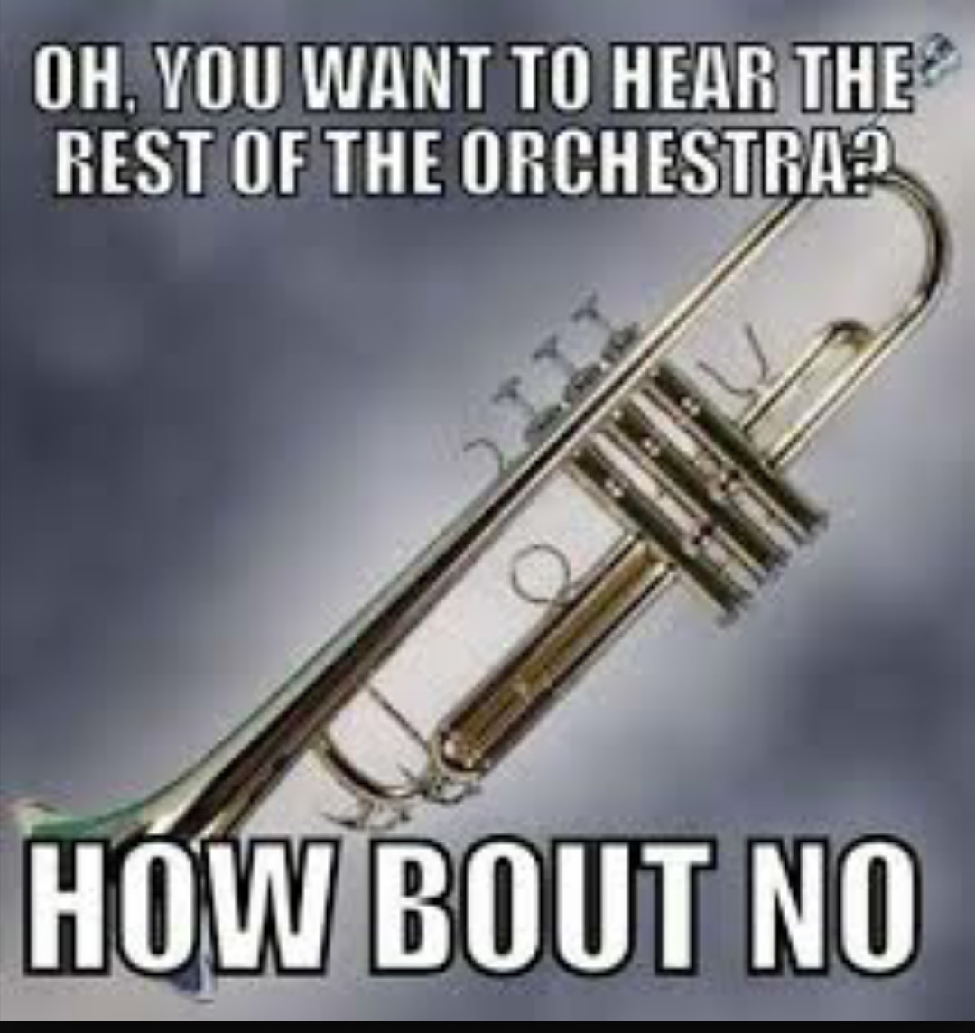 What instrument do you play? - meme