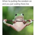 Froggy likey
