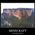 Anyone play Minecraft?
