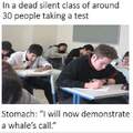 Whale's call